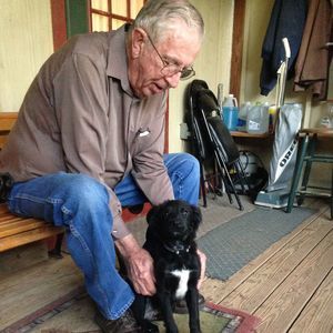 Meet your Posher, Ginger